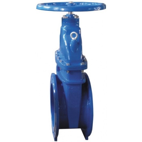 Задвижка клиновая чугунная фланцевая с обрезиненным клином Ру 16 R55F Giacomini 80 мм